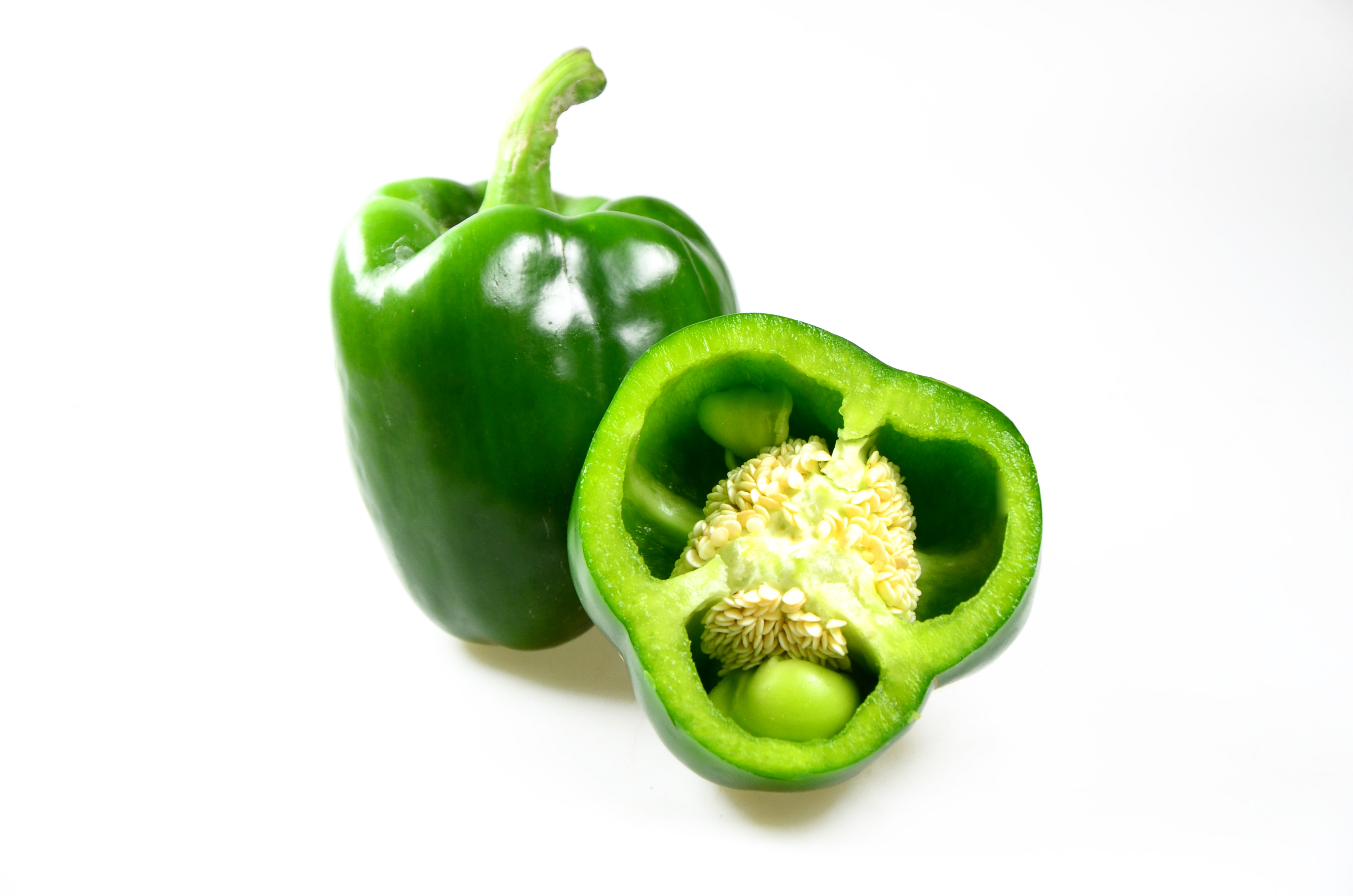 PT PAPUA UTAMA MITRA